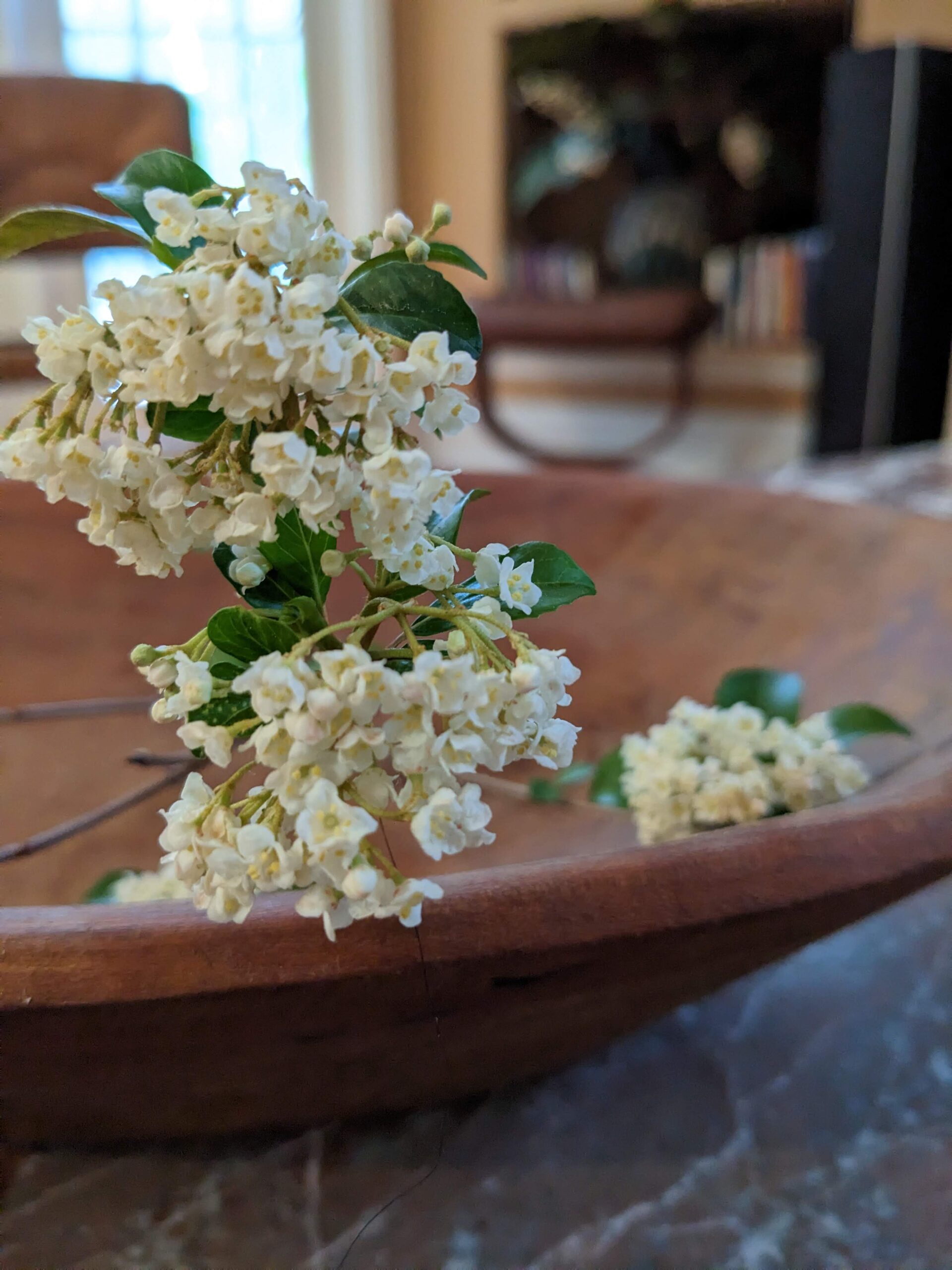 A sprig of vibernum in a brown bowl.